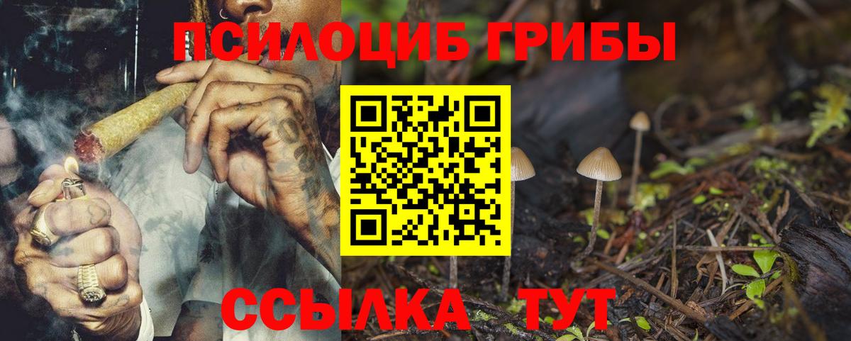 Галлюциногенные грибы MAGIC MUSHROOMS Мичуринск